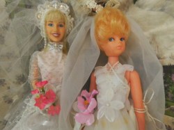 clone bride twins view